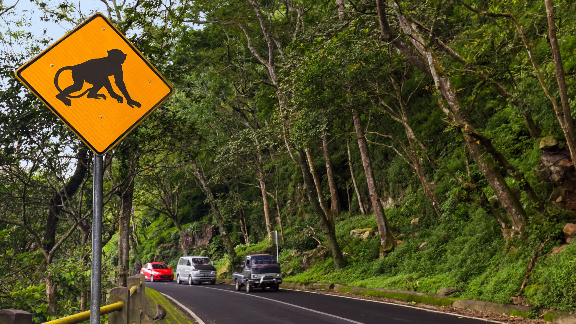 Traffic tips in Bali