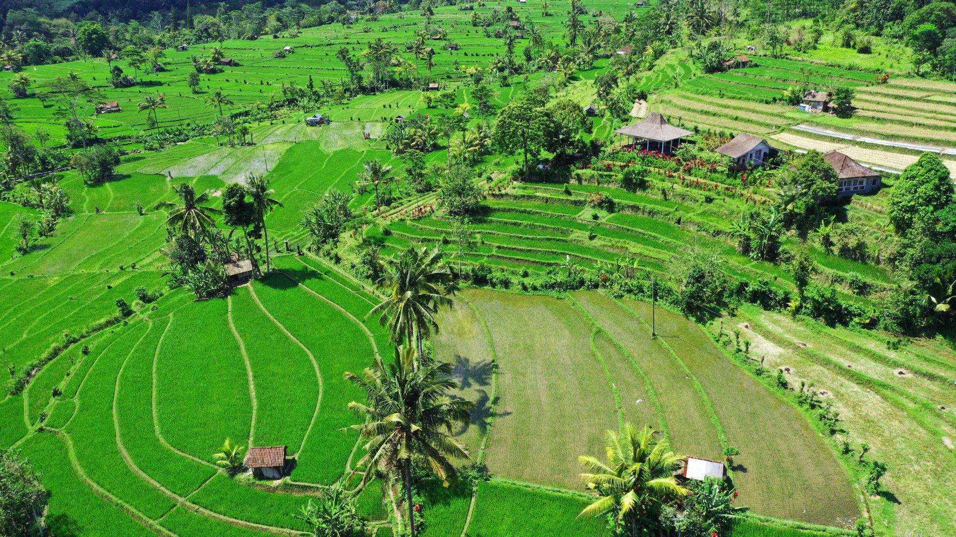 east Bali