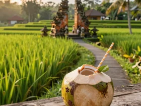 Budget-Friendly Bali: Uncover Free & Cheap Activities
