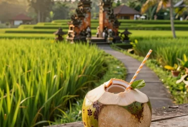 Budget-Friendly Bali: Uncover Free & Cheap Activities